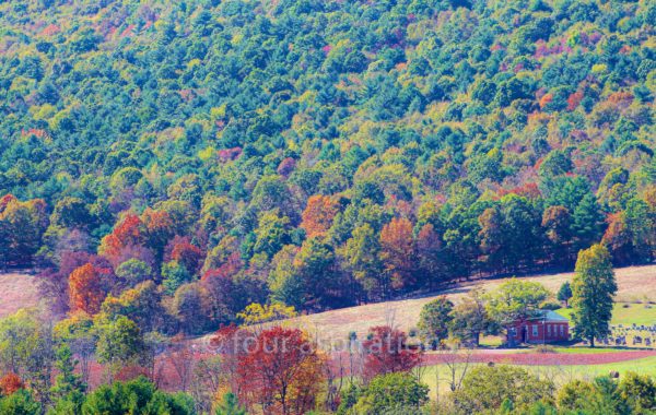 Home on a Mountain