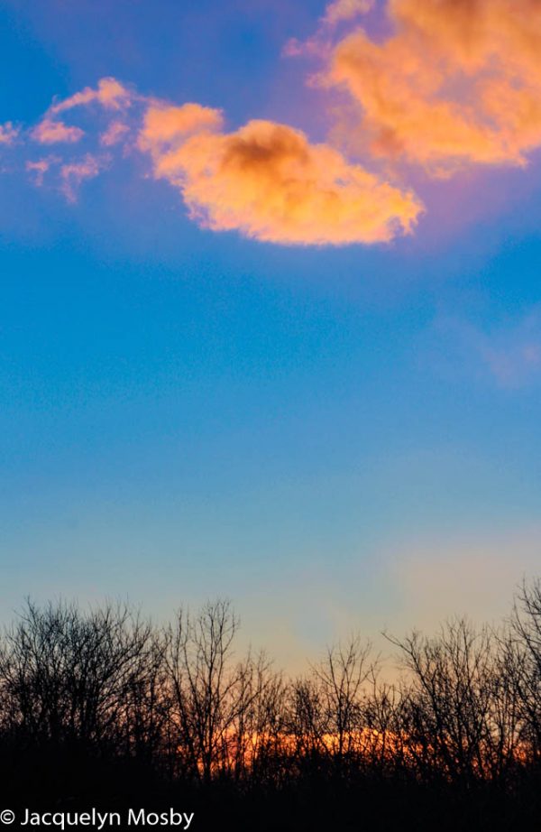 Four Aspirations 43