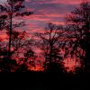 Cotton Candy Sky