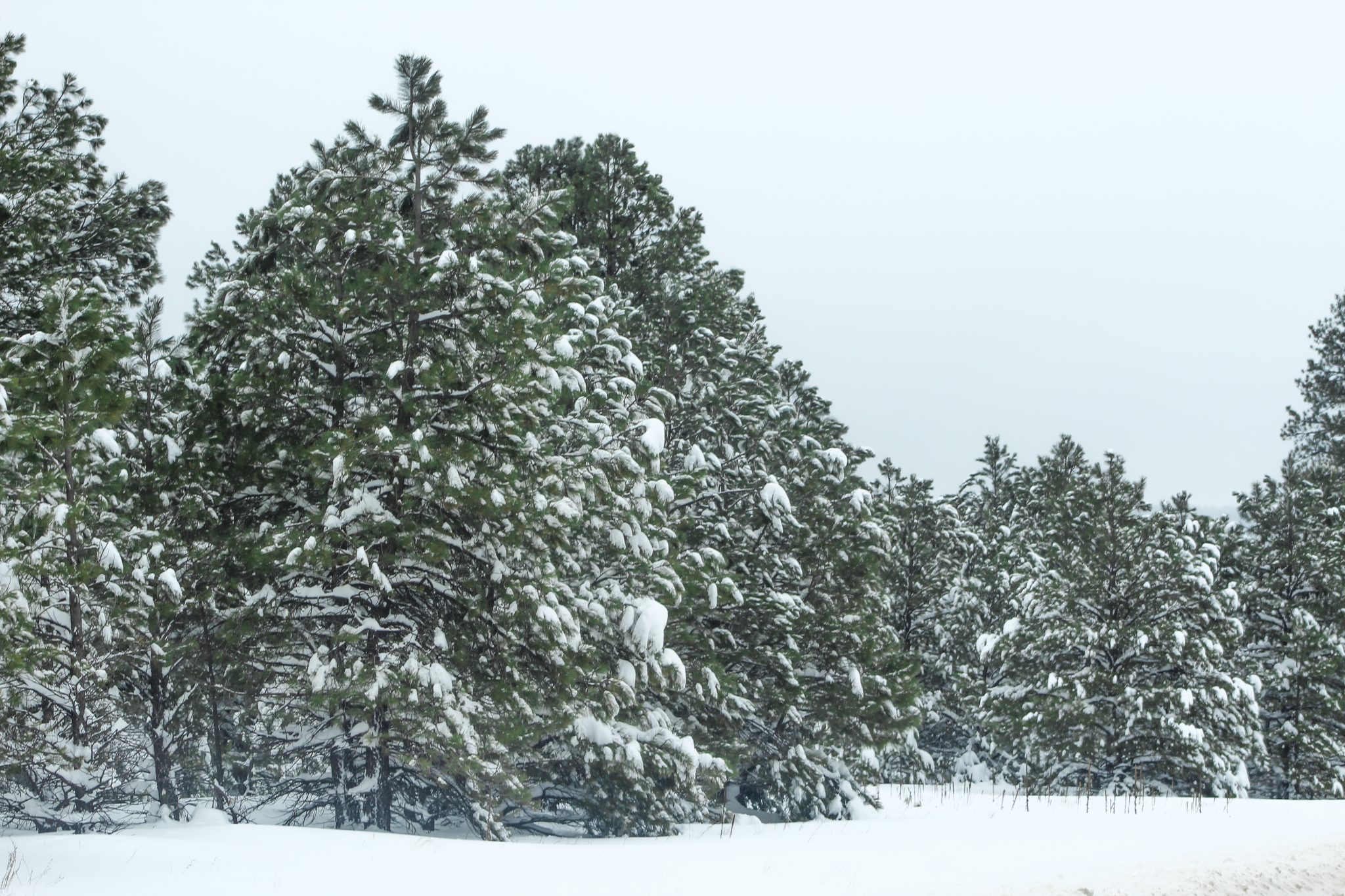 Traveling through winter