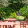 Relax in a Quiet place - Image 4