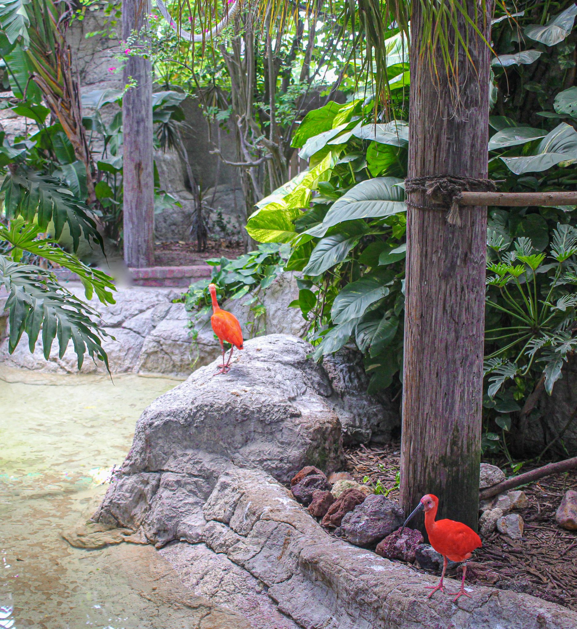 South Padre Island Zoo