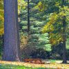 Relax in a Quiet place - Image 2