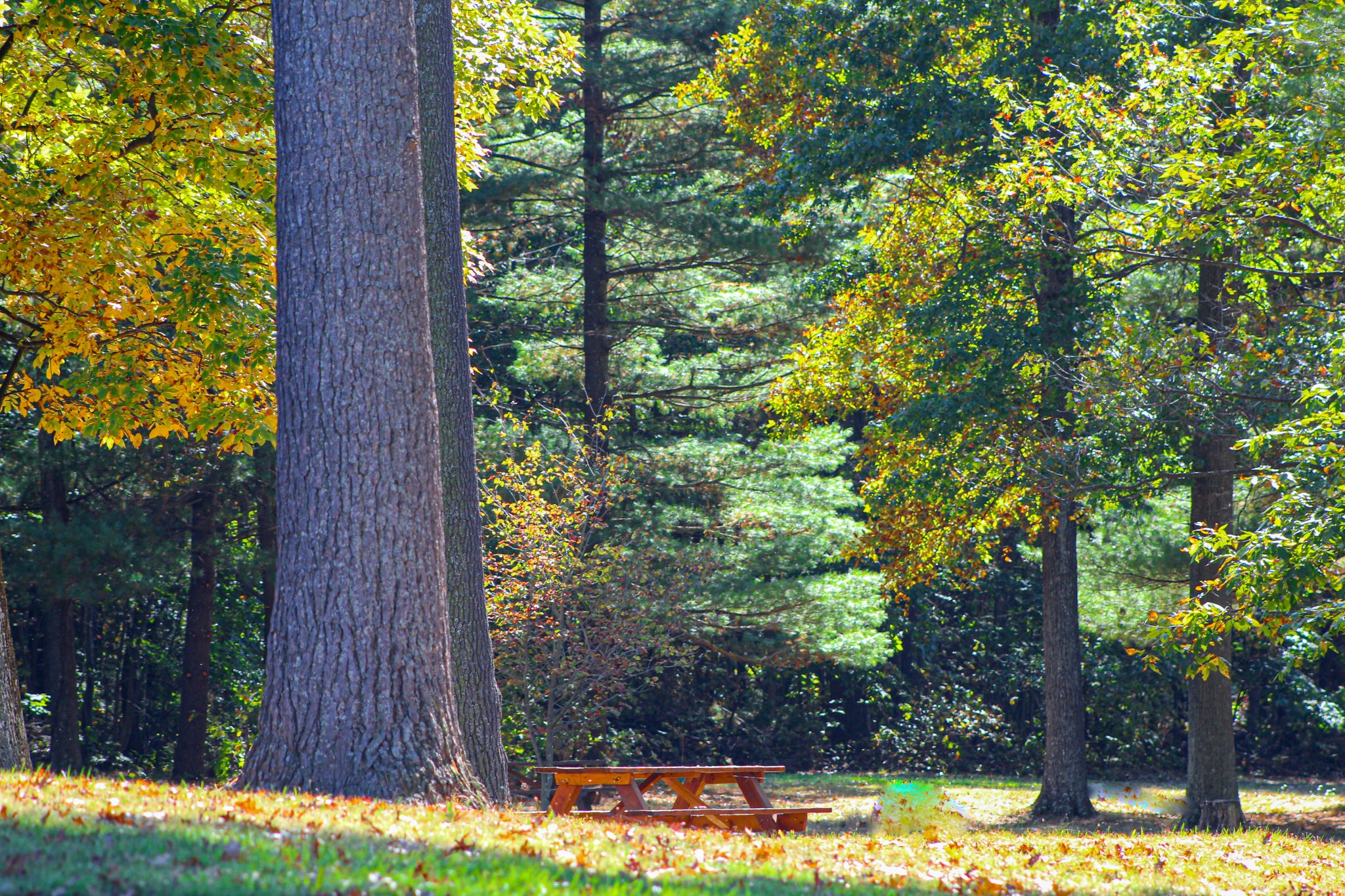 Pennsylvania Rest area