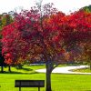 Relax in a Quiet place - Image 3