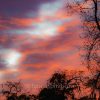 Cotton Candy Sky - Image 2