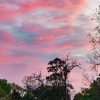Cotton Candy Sky - Image 3